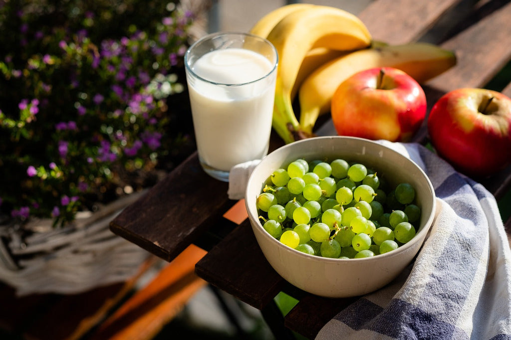Healthy Snack Ideas for Daycare Providers