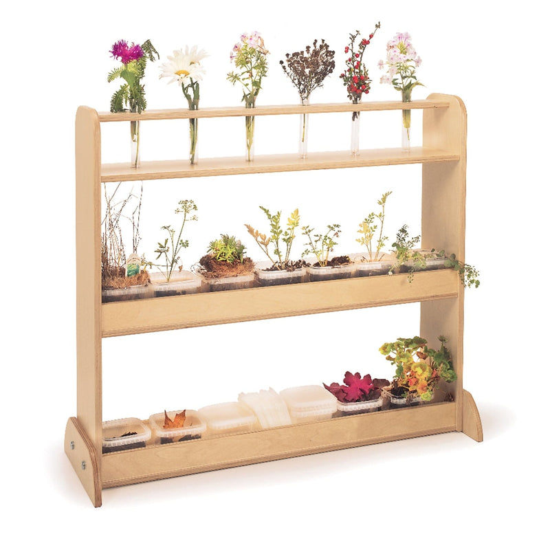 Whitney Brothers Science Equipment Nature Shelf