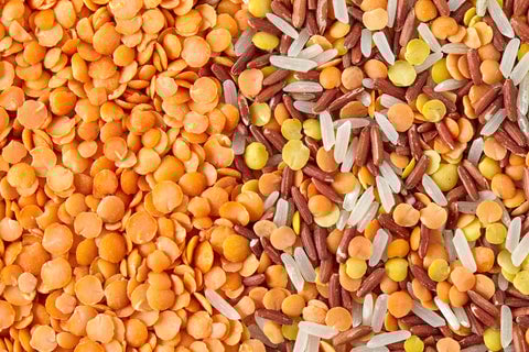 fall rice and lentils large